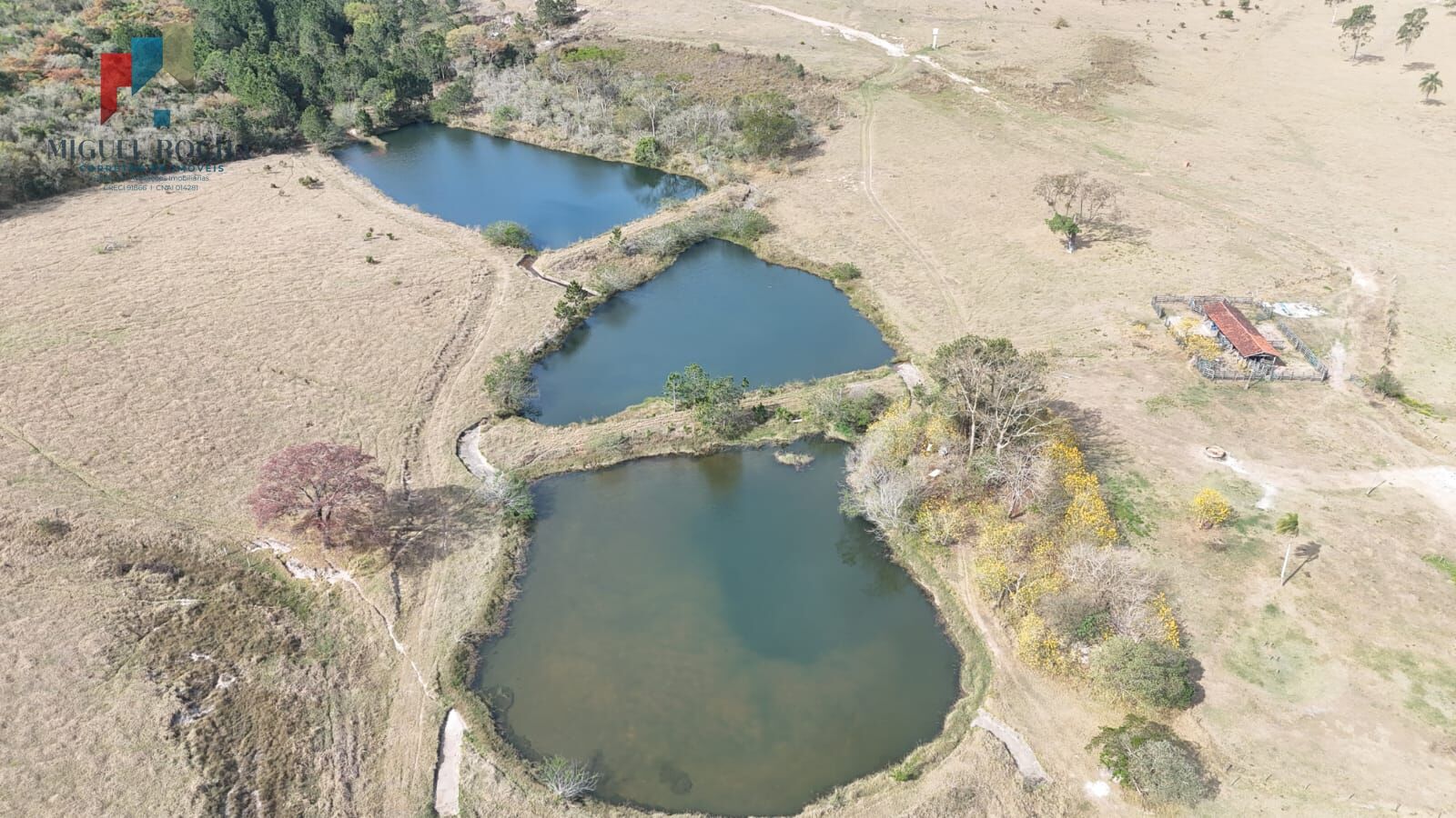 Fazenda a venda região de Botucatu SP - foto 7