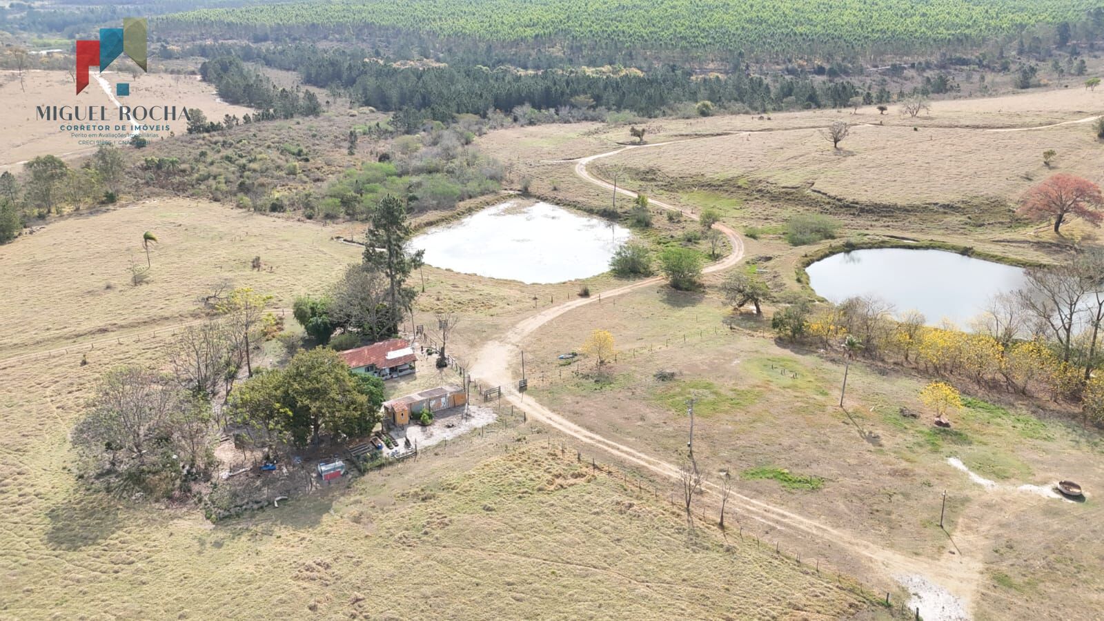 Fazenda a venda região de Botucatu SP - foto 4