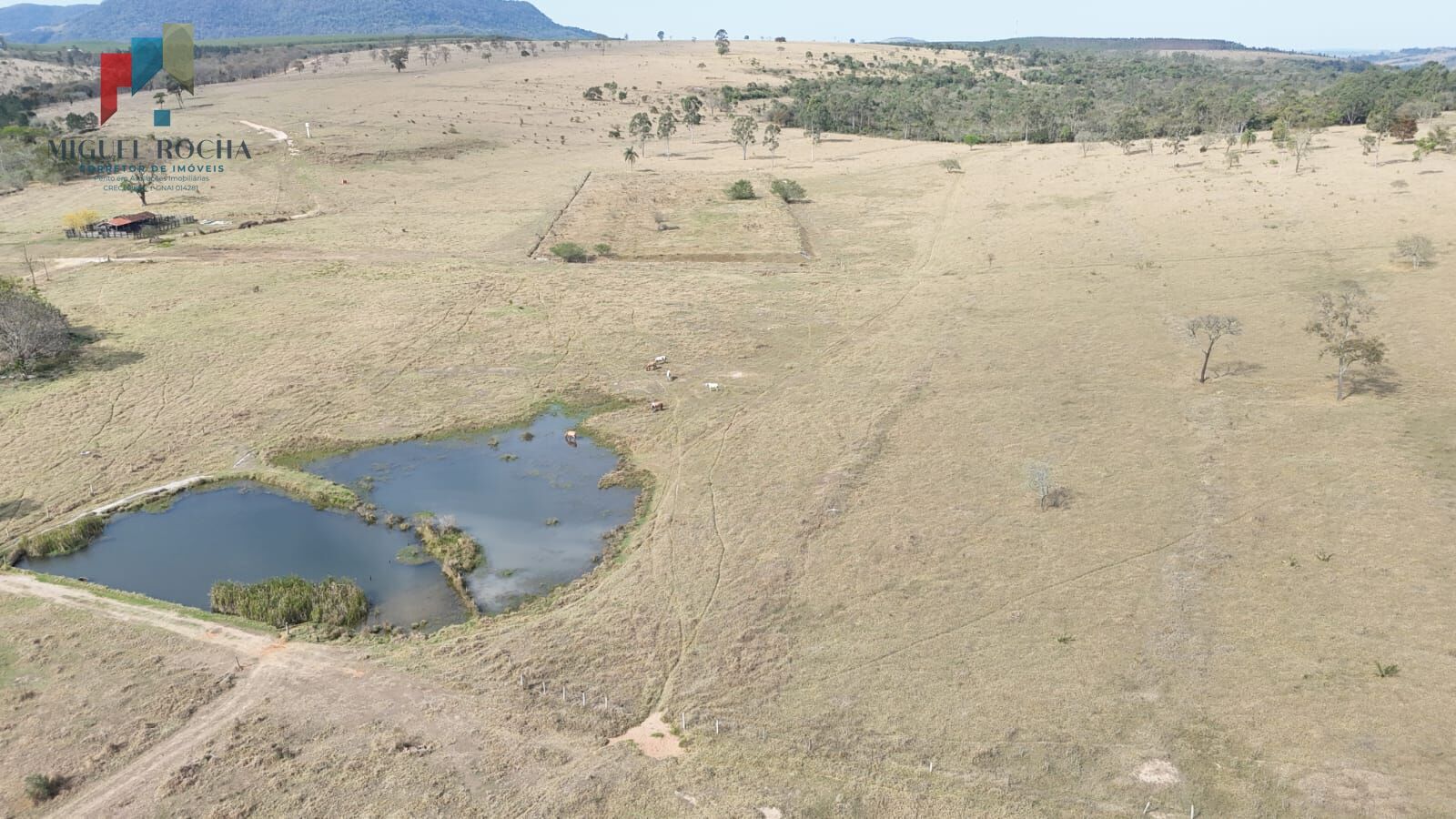 Fazenda a venda região de Botucatu SP - foto 8