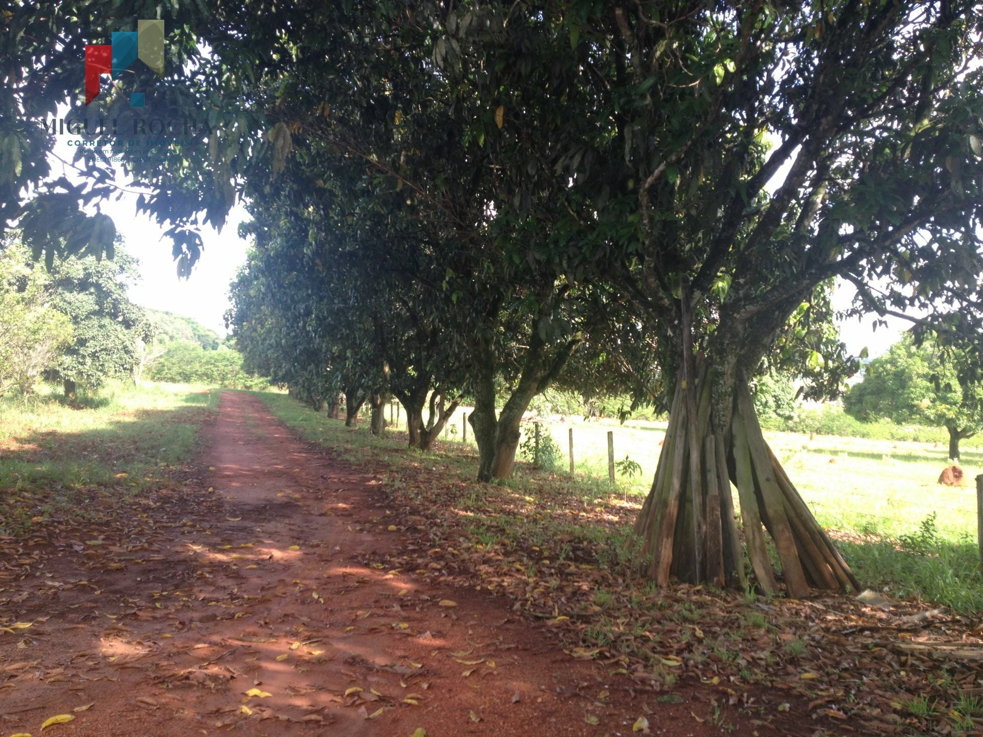 Sítio à venda no bairro Mirandas - Tatuí/SP