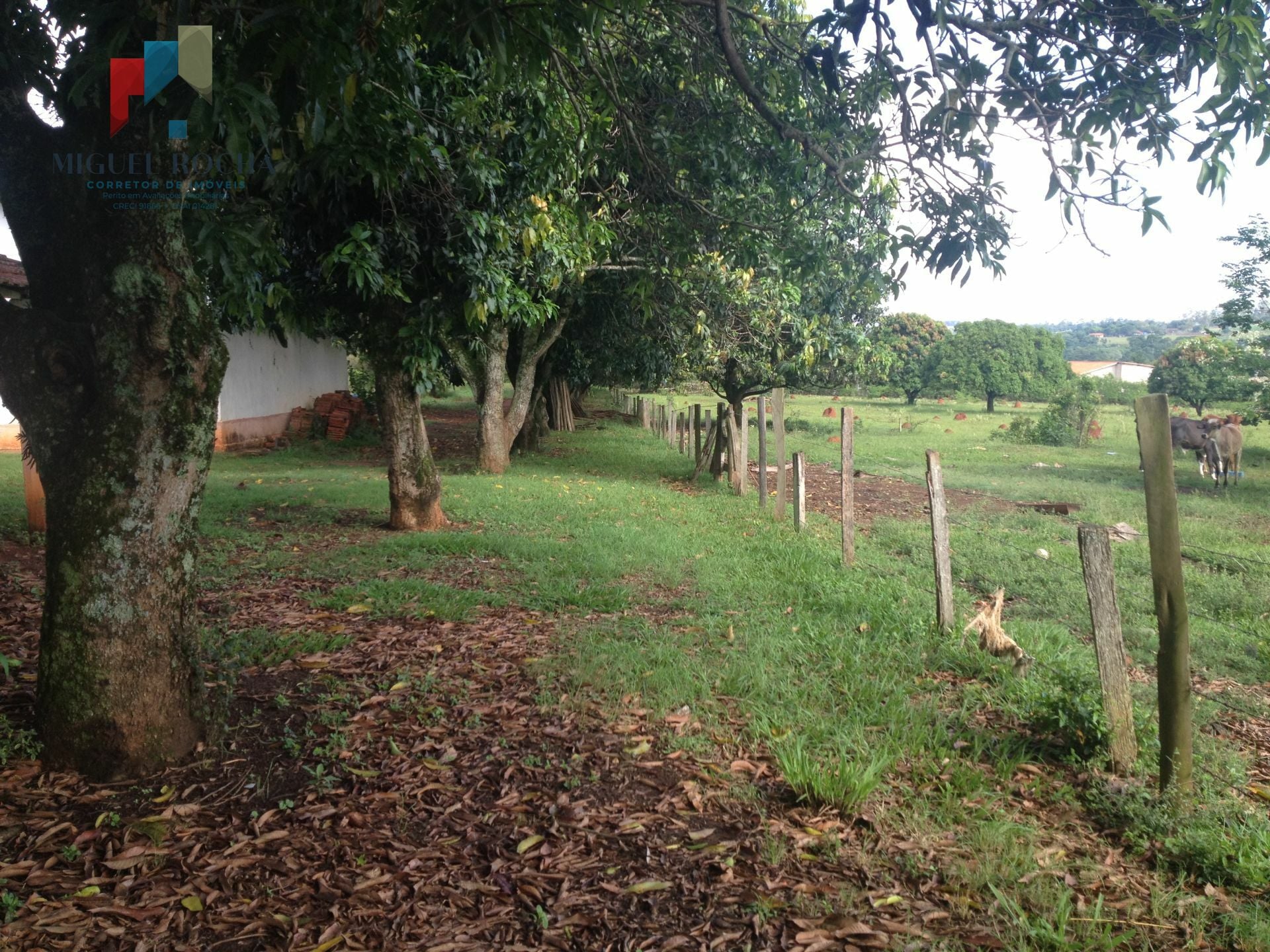 Sítio à venda no bairro Mirandas - Tatuí/SP