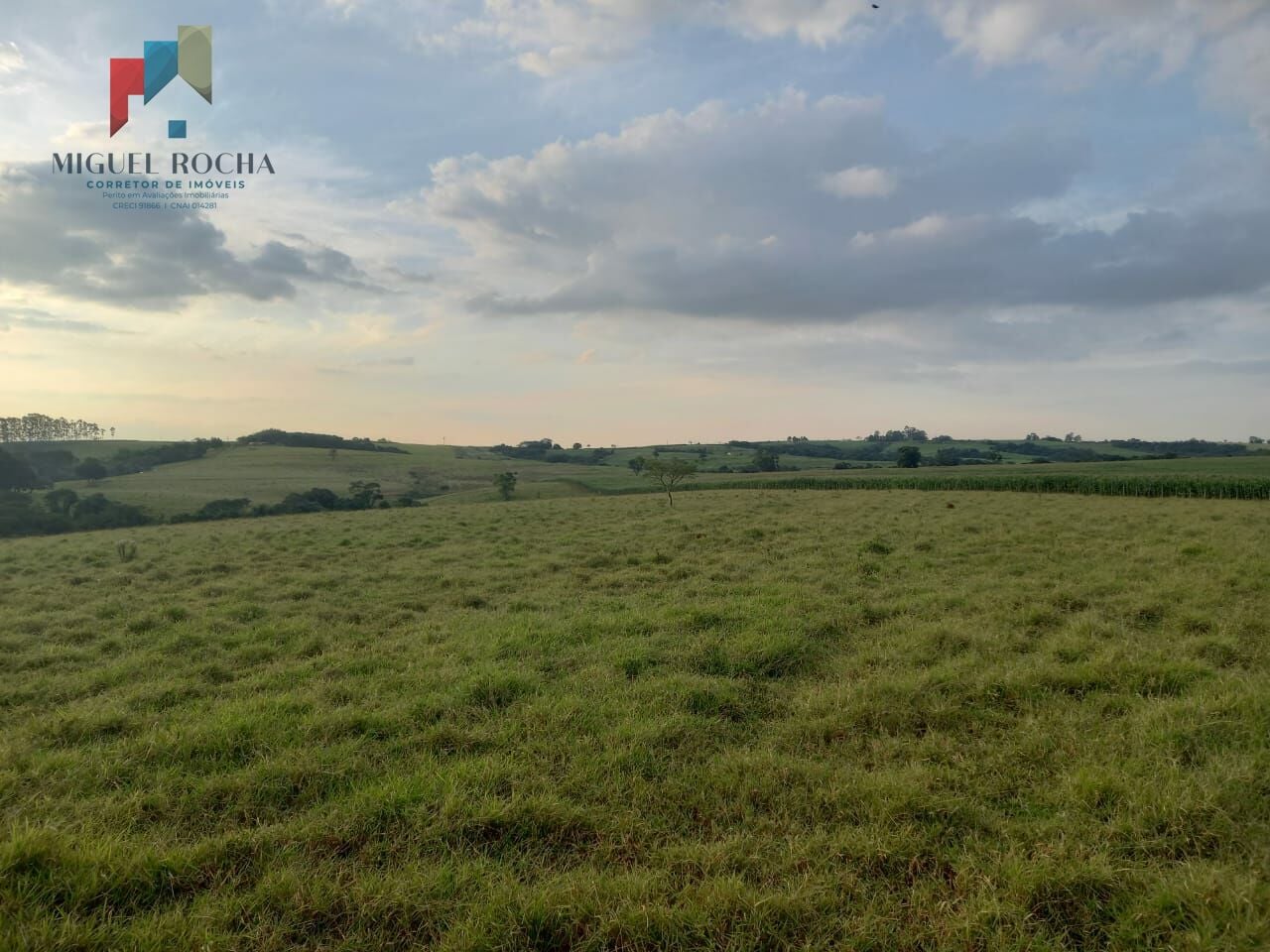 Fazenda a venda em Tatuí SP