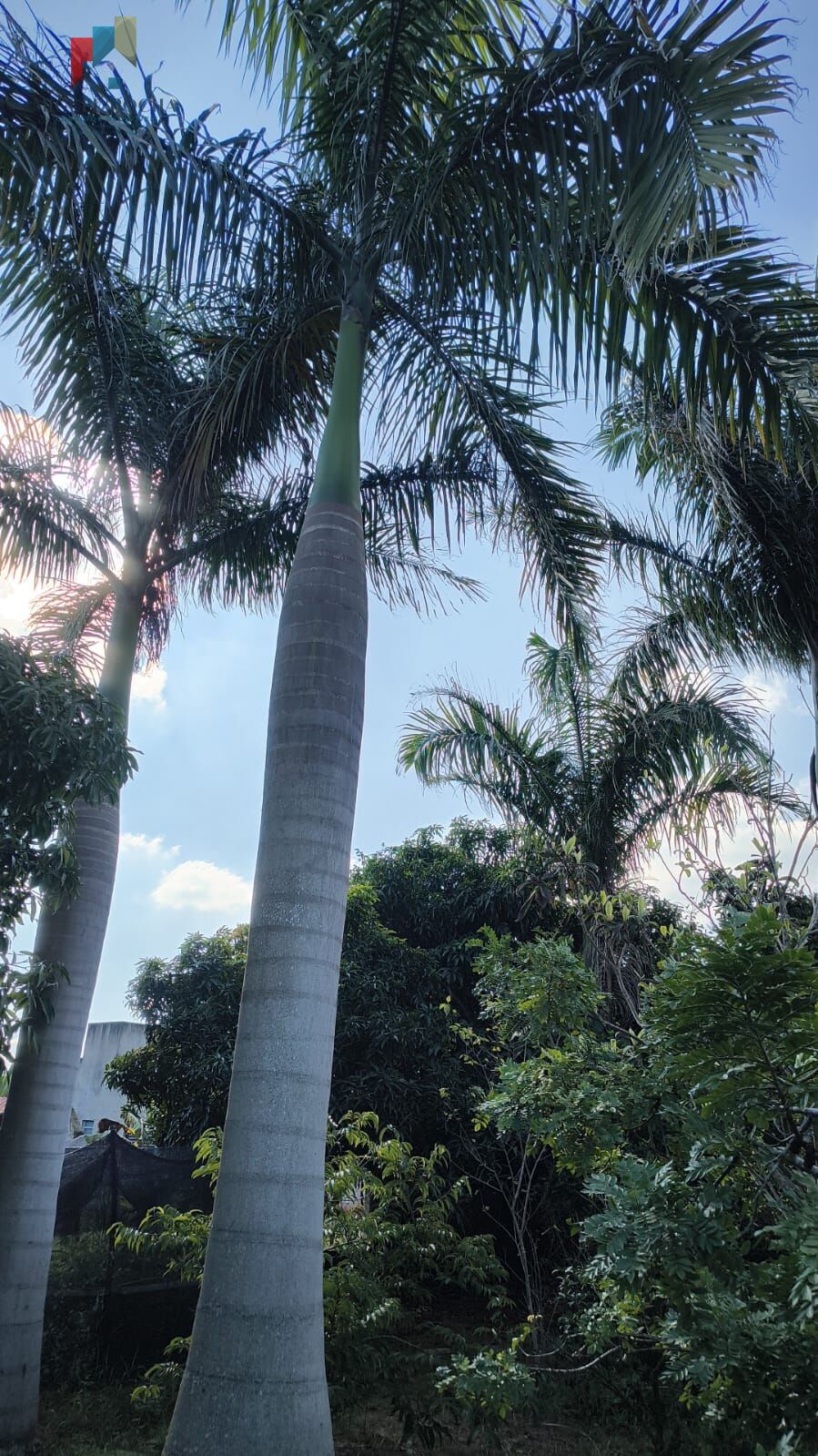 Chácara em Jurumirim, Tatuí/SP