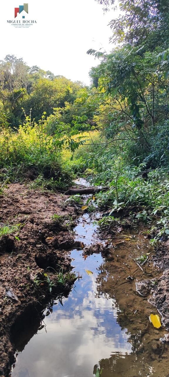 Sítio a venda em Itapetininga SP