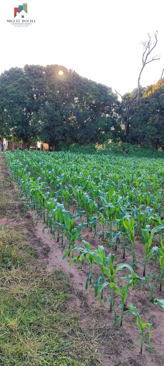 Sítio a venda em Itapetininga SP