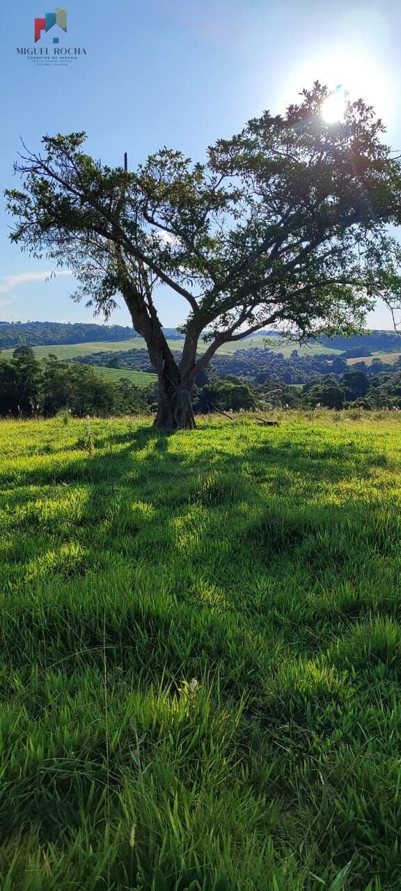 Sítio a venda em Itapetininga SP