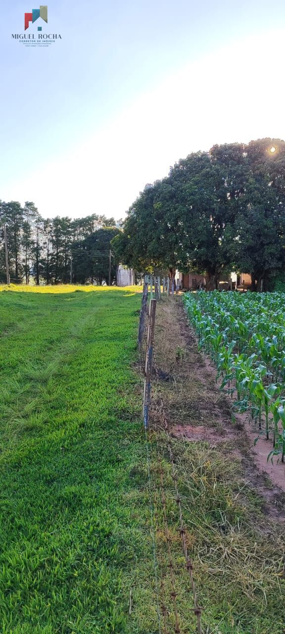 Sítio a venda em Itapetininga SP