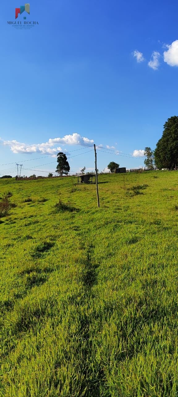 Sítio a venda em Itapetininga SP