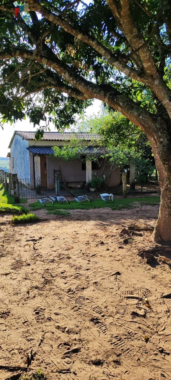 Sítio a venda em Itapetininga SP