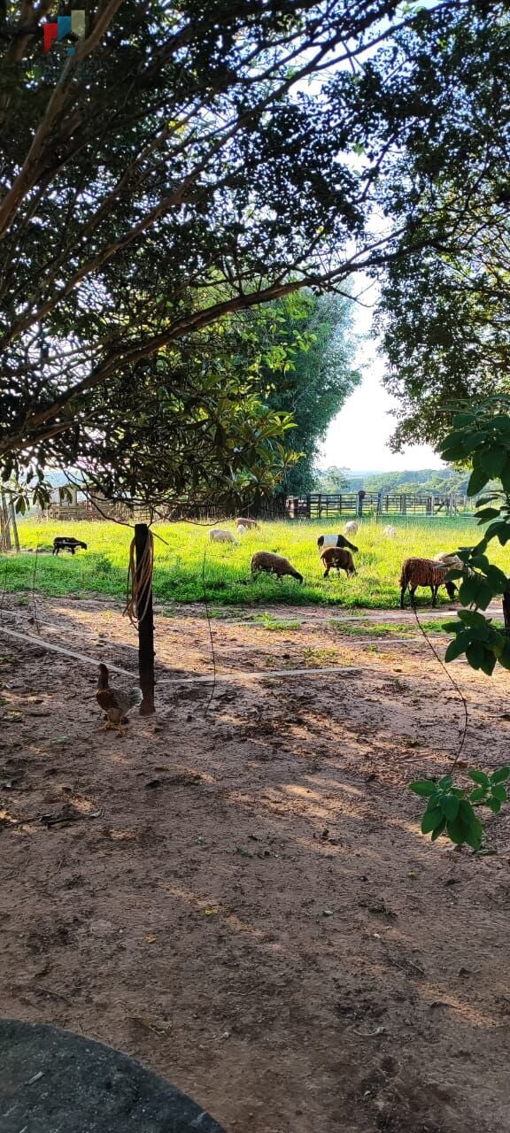Sítio a venda em Itapetininga SP