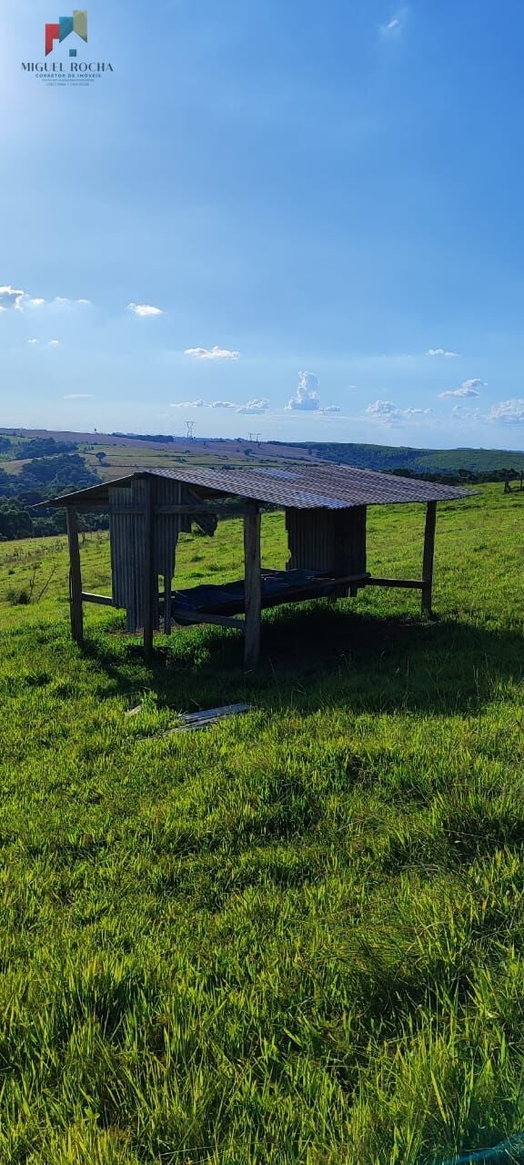 Sítio a venda em Itapetininga SP