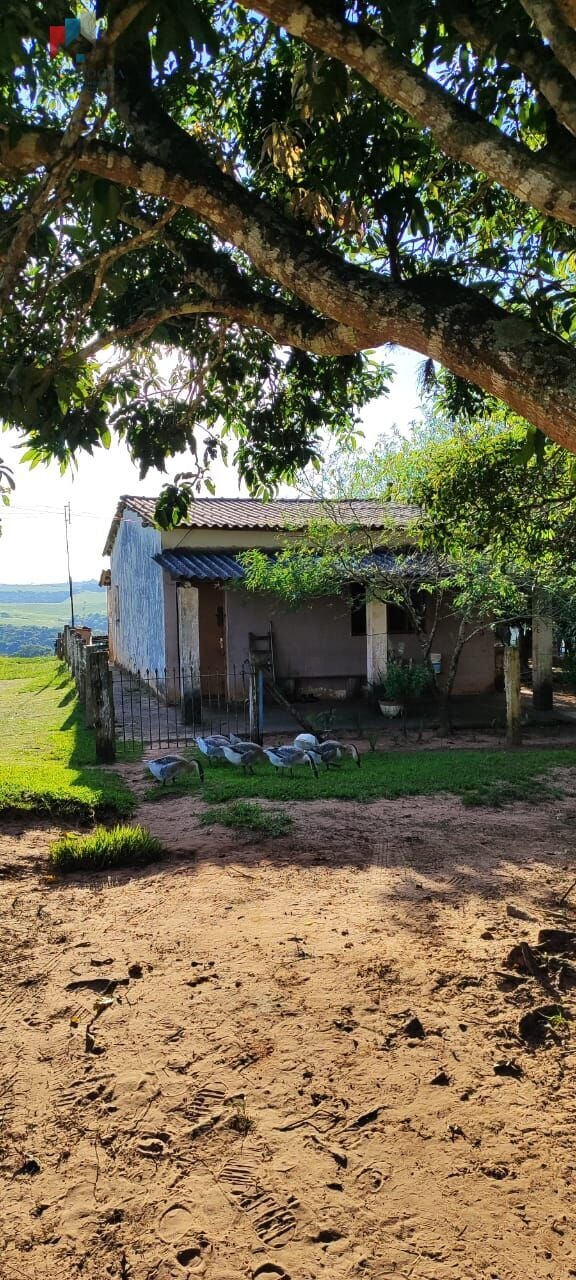 Sítio a venda em Itapetininga SP