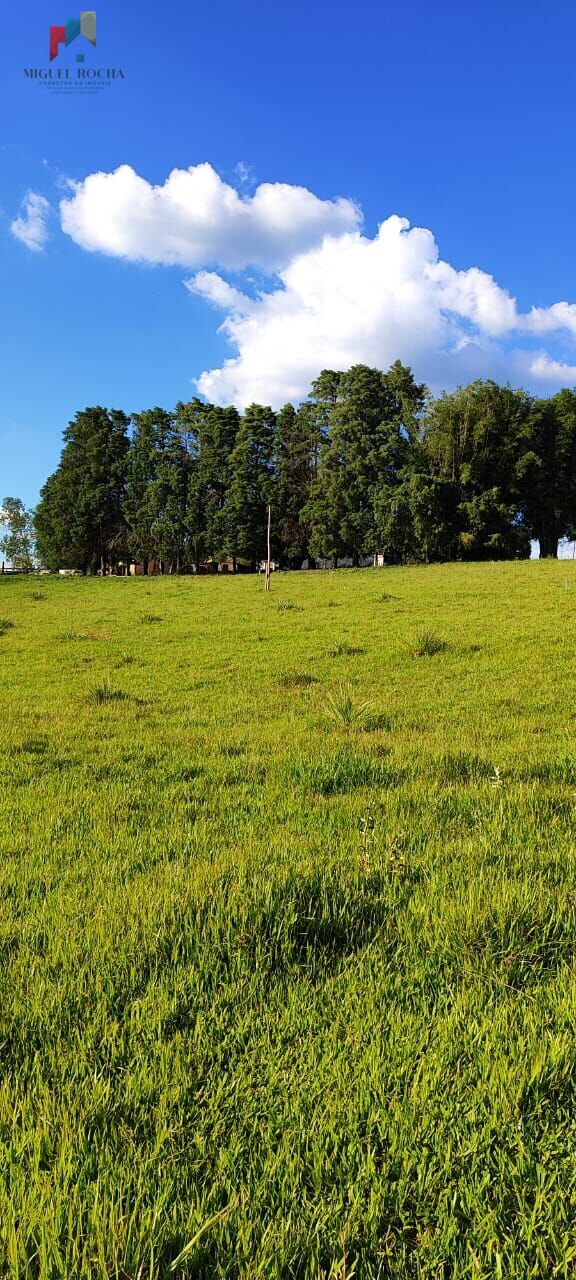 Sítio a venda em Itapetininga SP