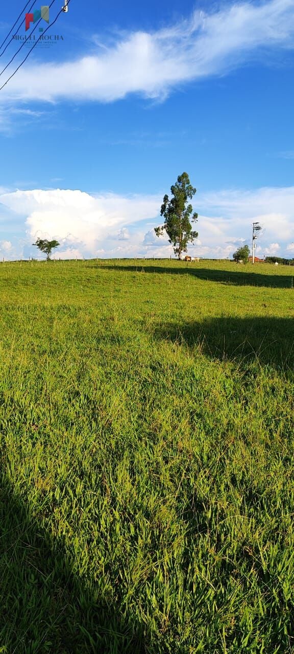 Sítio a venda em Itapetininga SP