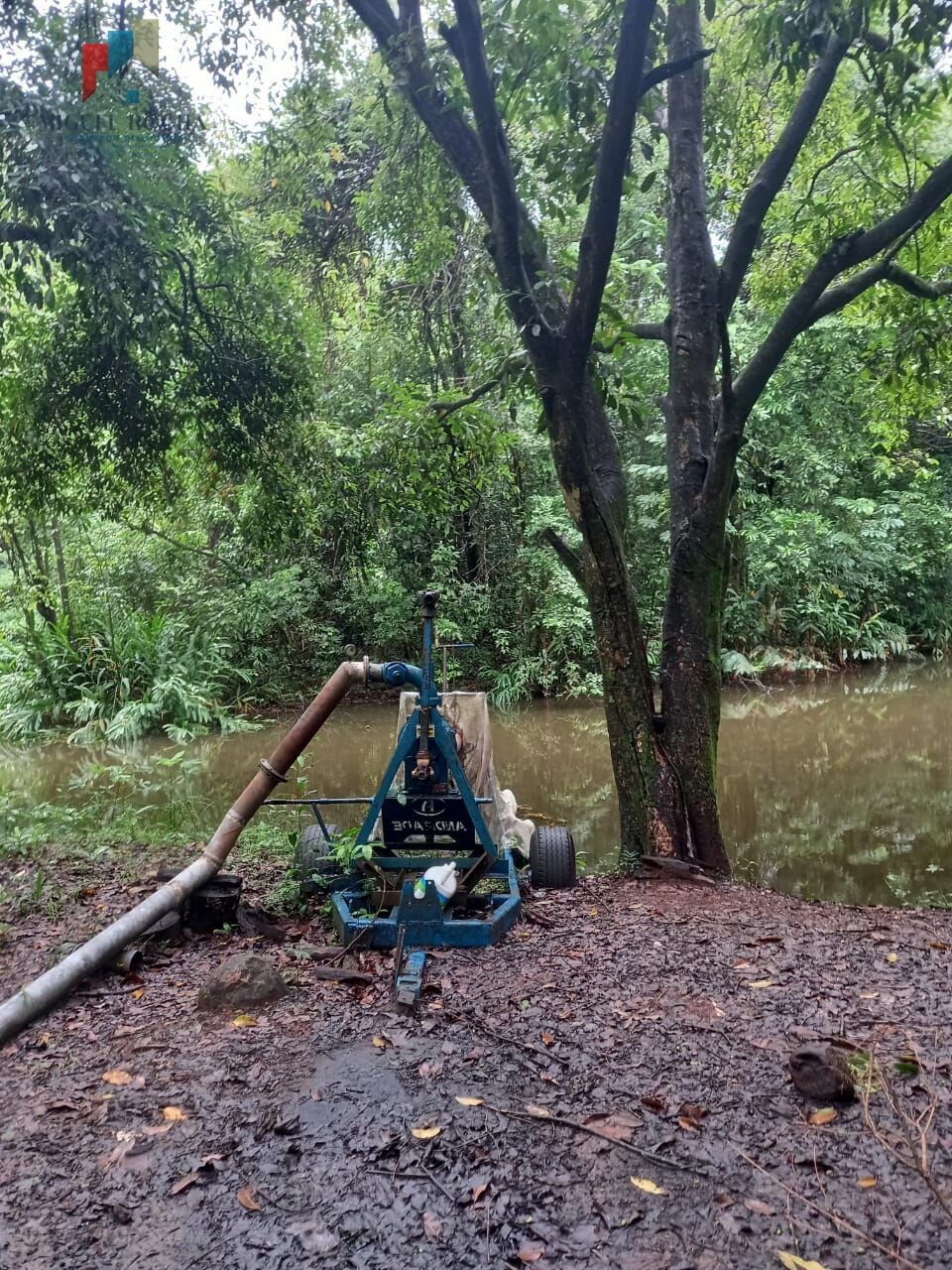 Fazenda região de Araraquara SP