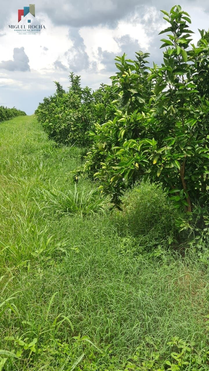 Fazenda região de Araraquara SP