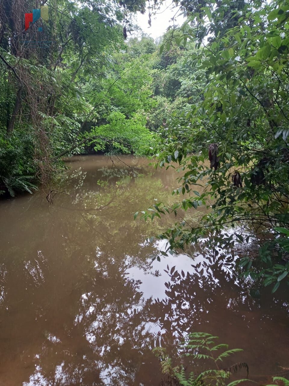 Fazenda região de Araraquara SP