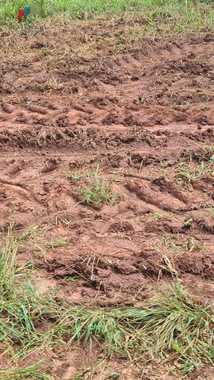 Fazenda região de Araraquara SP