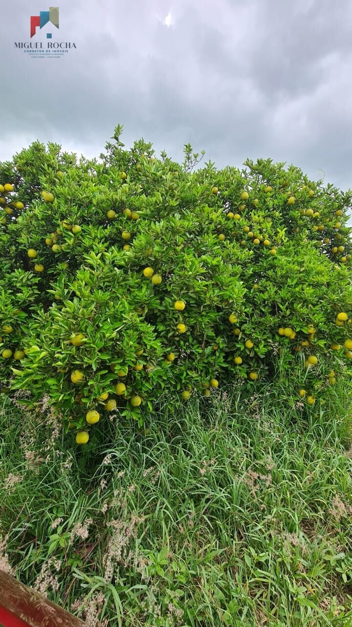 Fazenda região de Araraquara SP