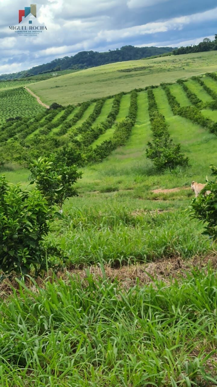 Fazenda região de Araraquara SP
