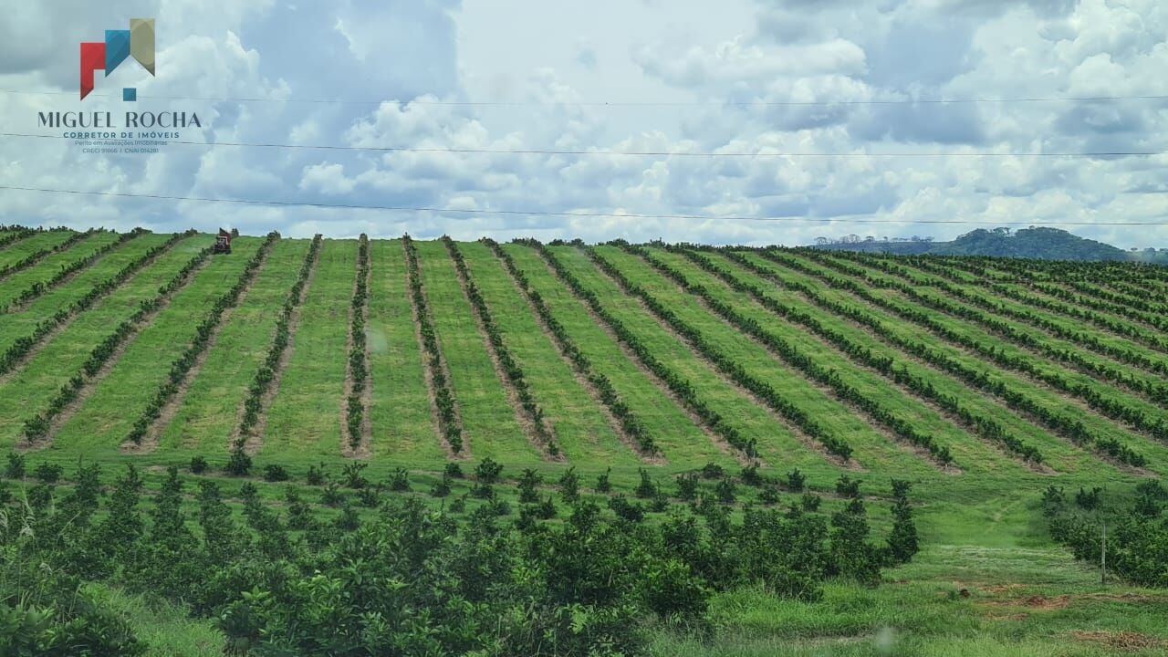 Fazenda região de Araraquara SP