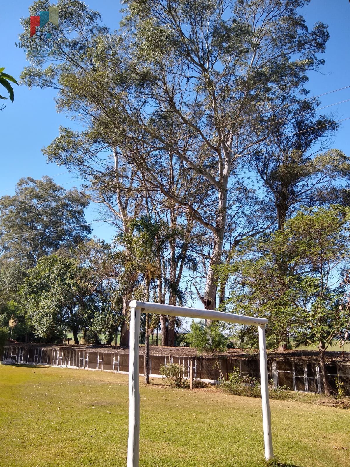 Chácara em Jardim Santo Antônio, Quadra/SP - foto 38