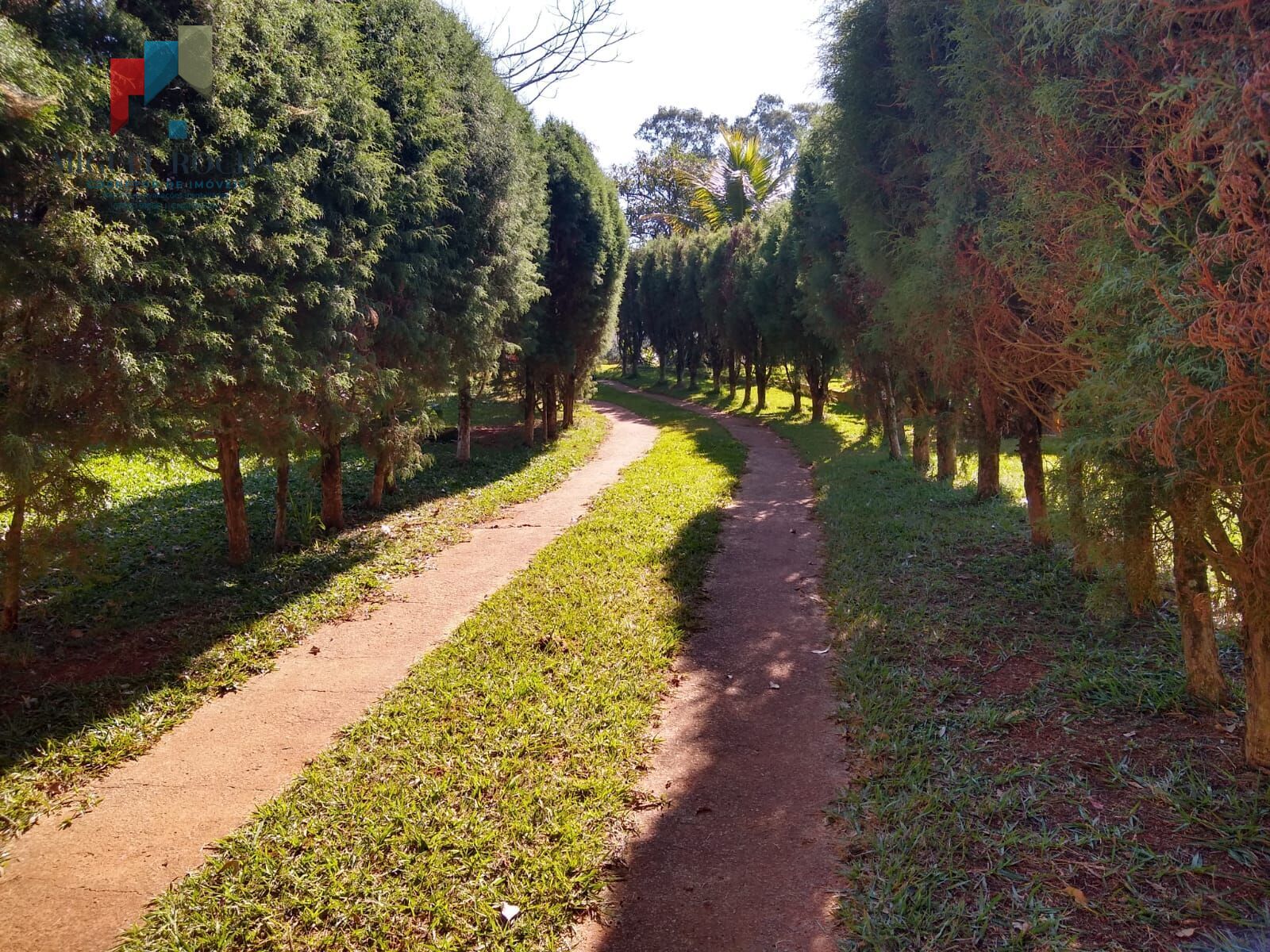 Chácara em Jardim Santo Antônio, Quadra/SP - foto 43