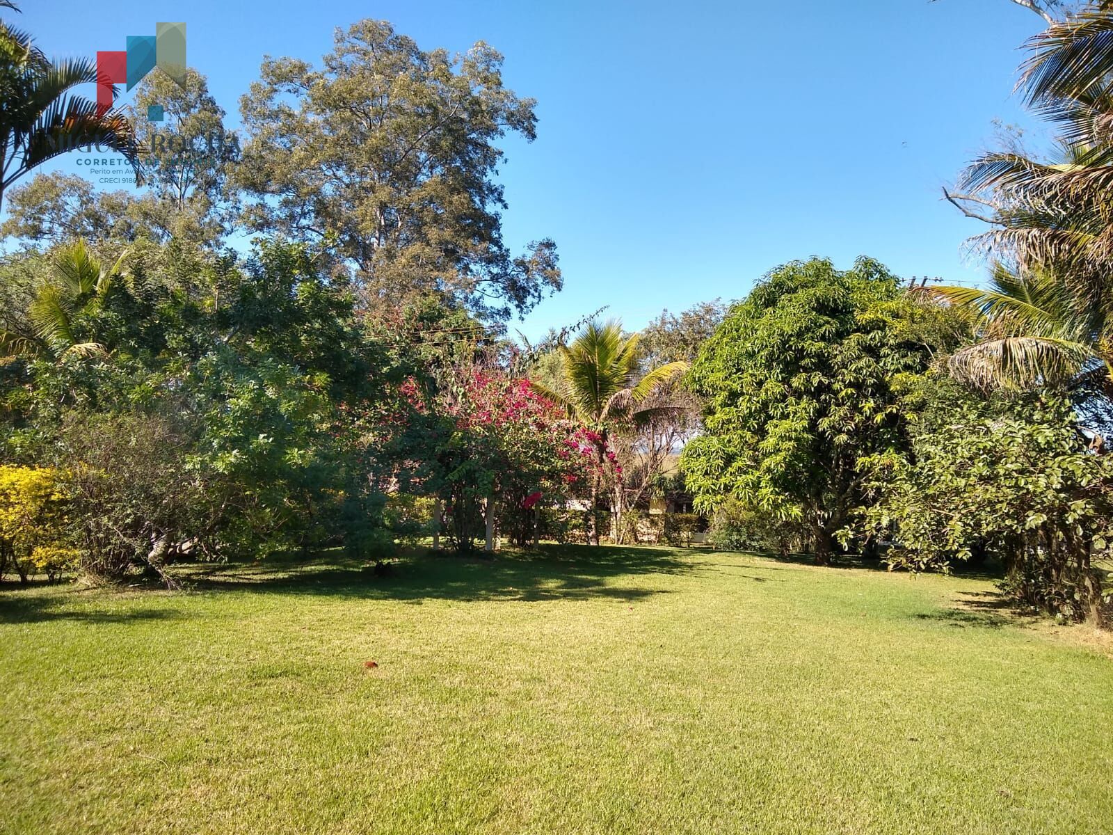 Chácara em Jardim Santo Antônio, Quadra/SP - foto 36