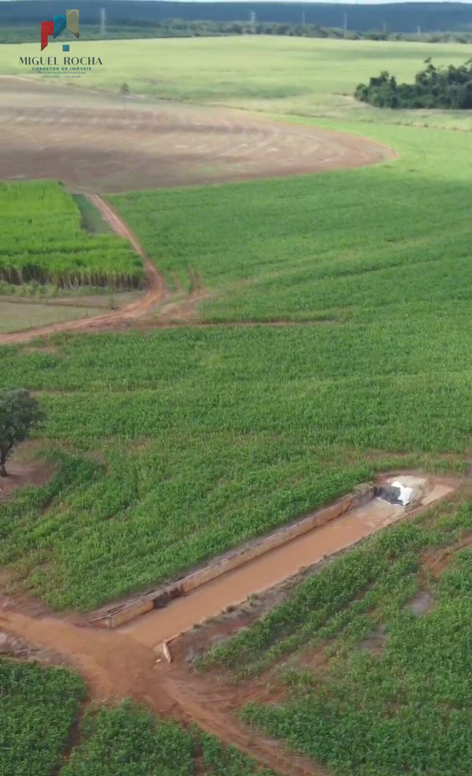 Fazenda á venda em Avaré SP - foto 19