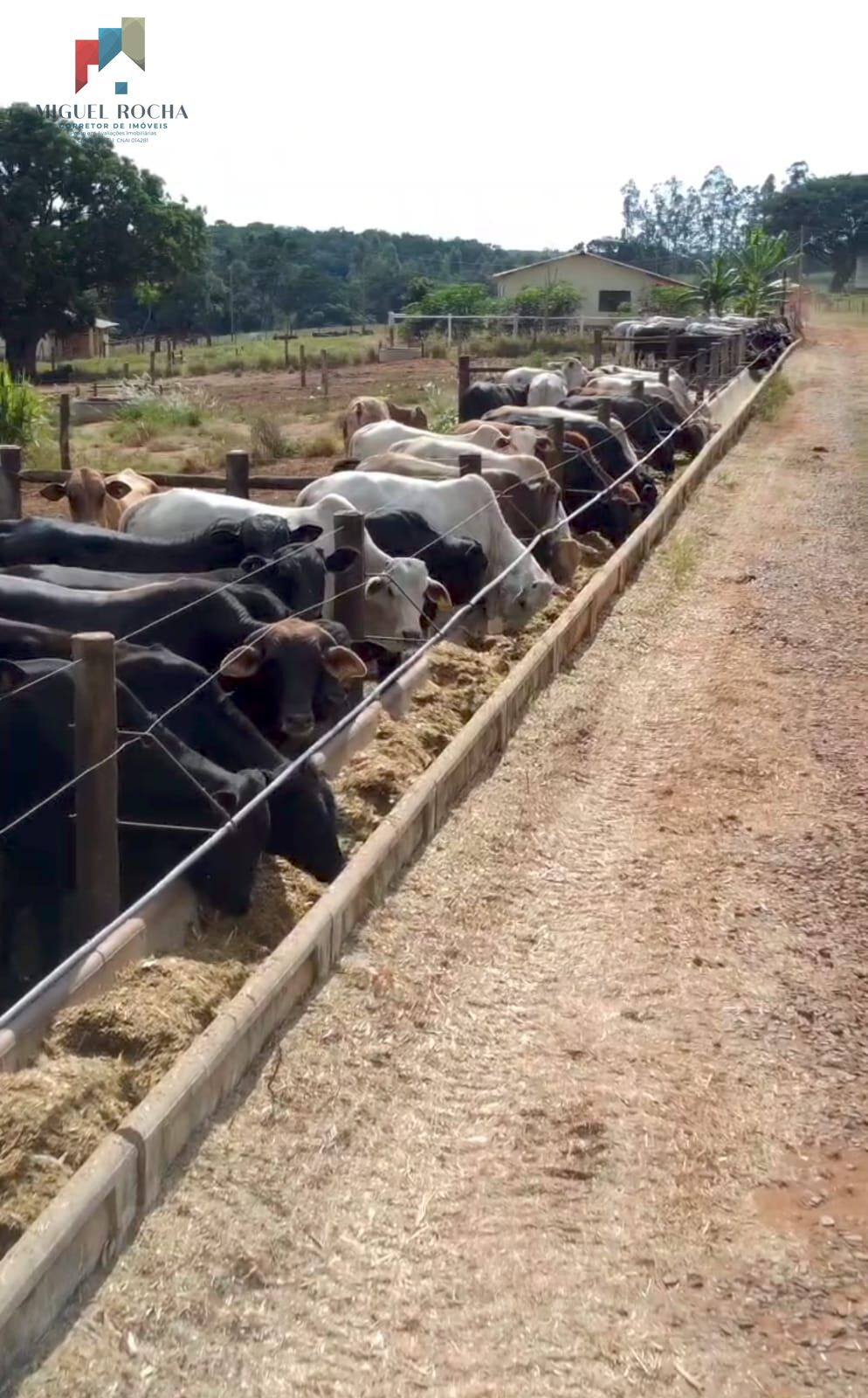 Fazenda á venda em Avaré SP - foto 28