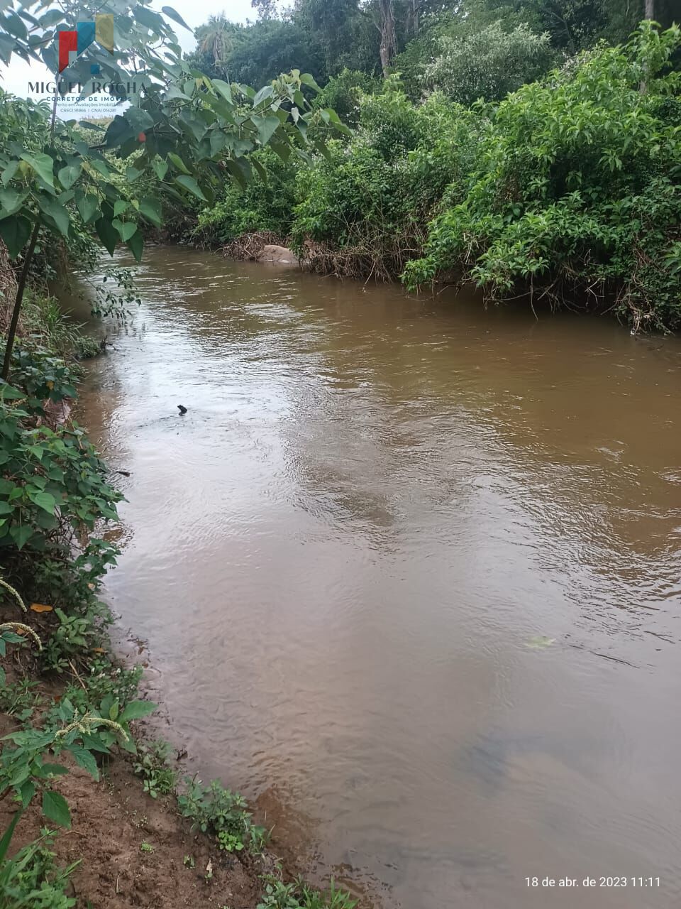 Fazenda á venda em Avaré SP - foto 27