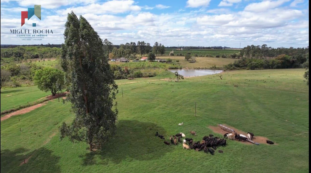Fazenda á venda em Avaré SP - foto 11