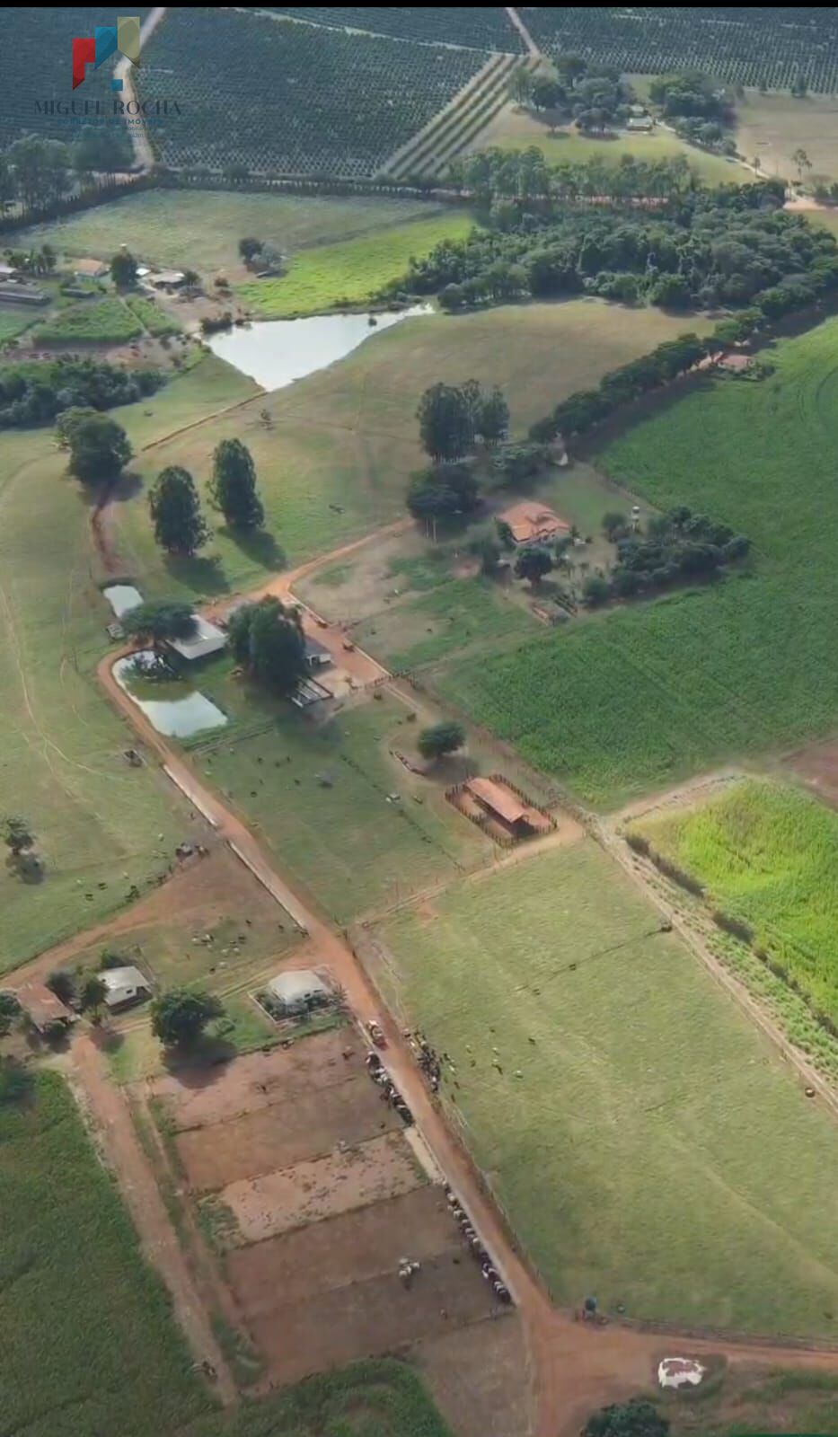 Fazenda á venda em Avaré SP - foto 5