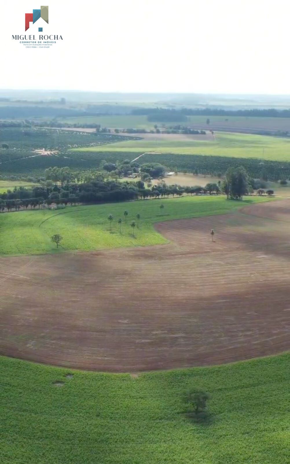 Fazenda á venda em Avaré SP - foto 16