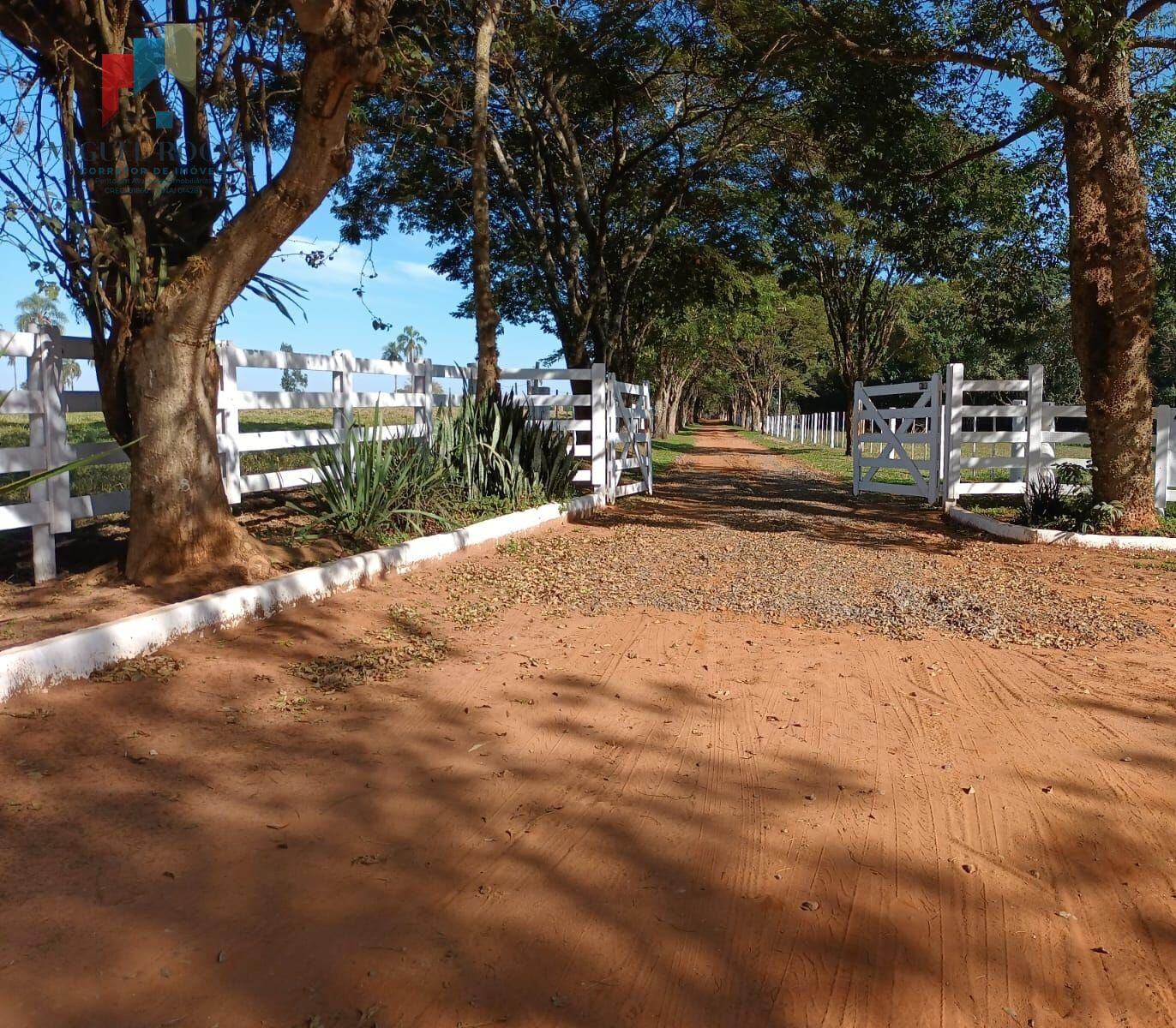 Fazenda á venda em Avaré SP - foto 6
