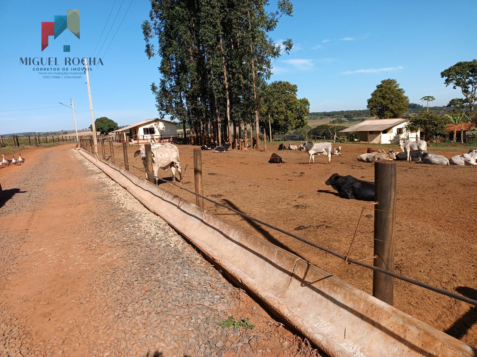 Fazenda á venda em Avaré SP - foto 13