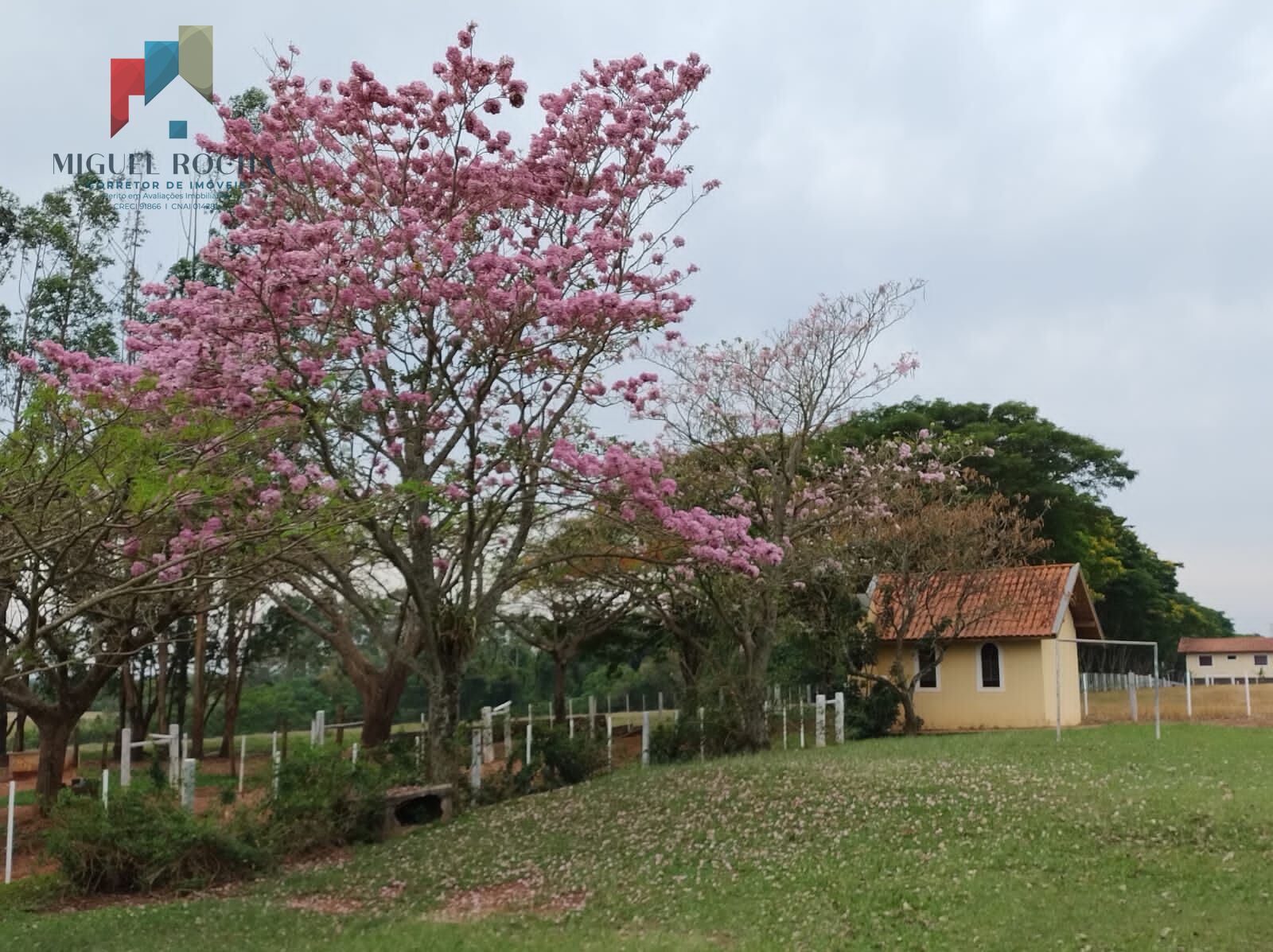 Fazenda á venda em Avaré SP - foto 20