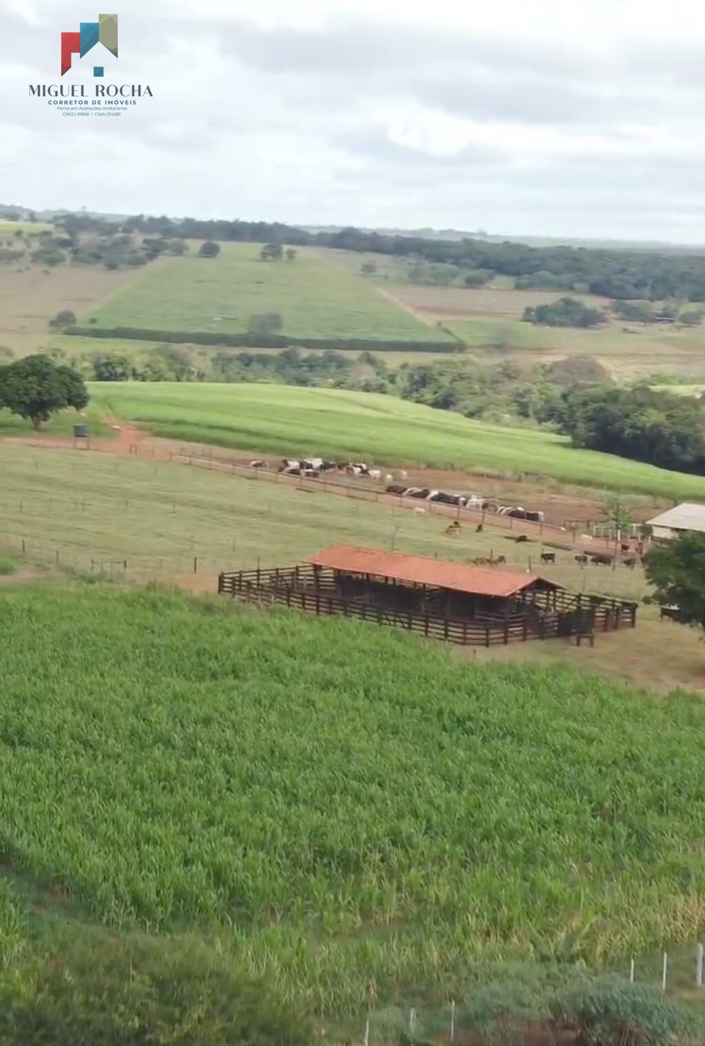 Fazenda á venda em Avaré SP - foto 25
