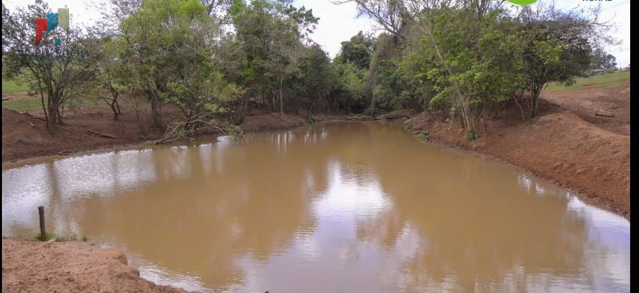 Fazenda á venda em Avaré SP - foto 10