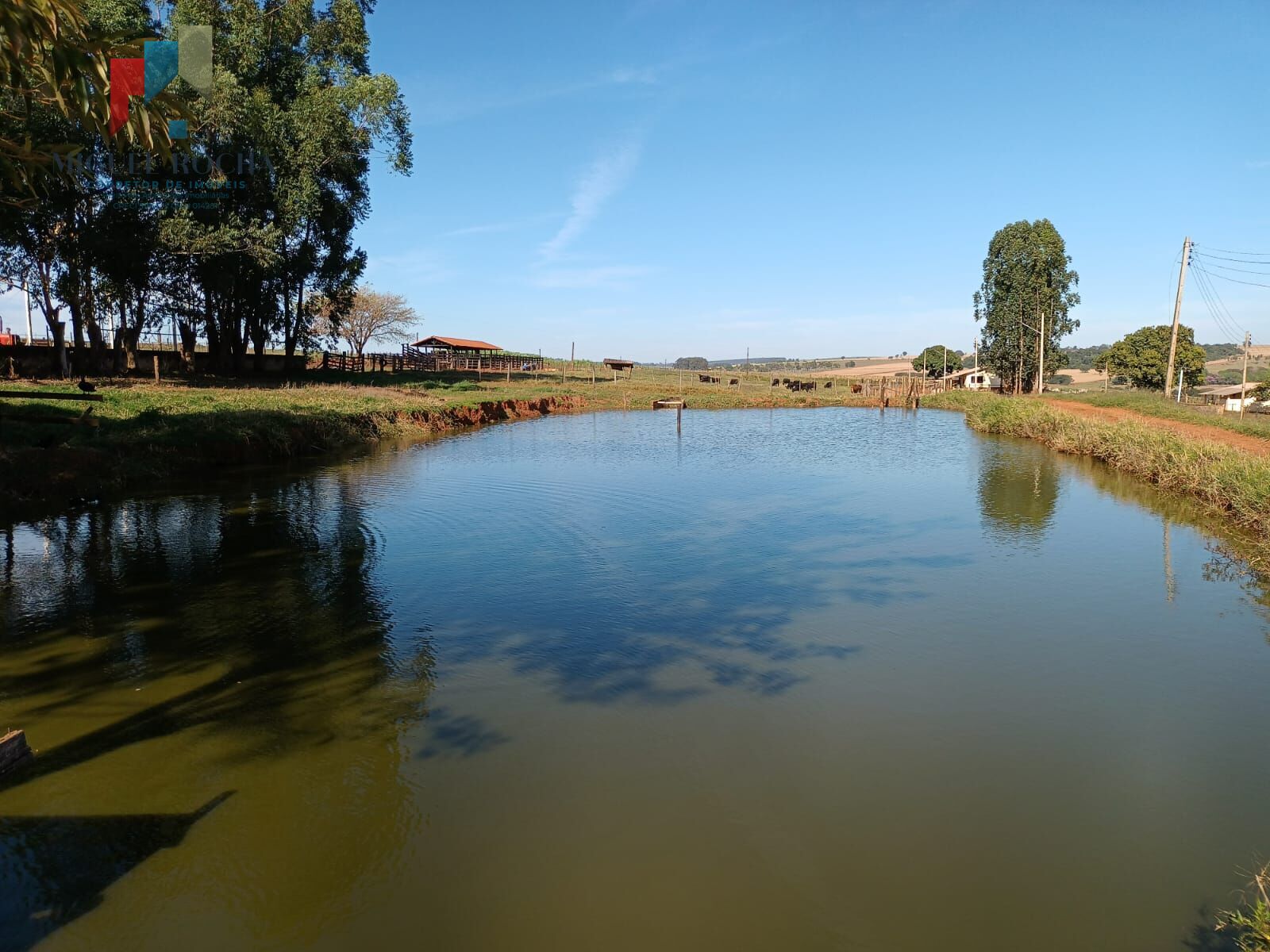 Fazenda á venda em Avaré SP - foto 15