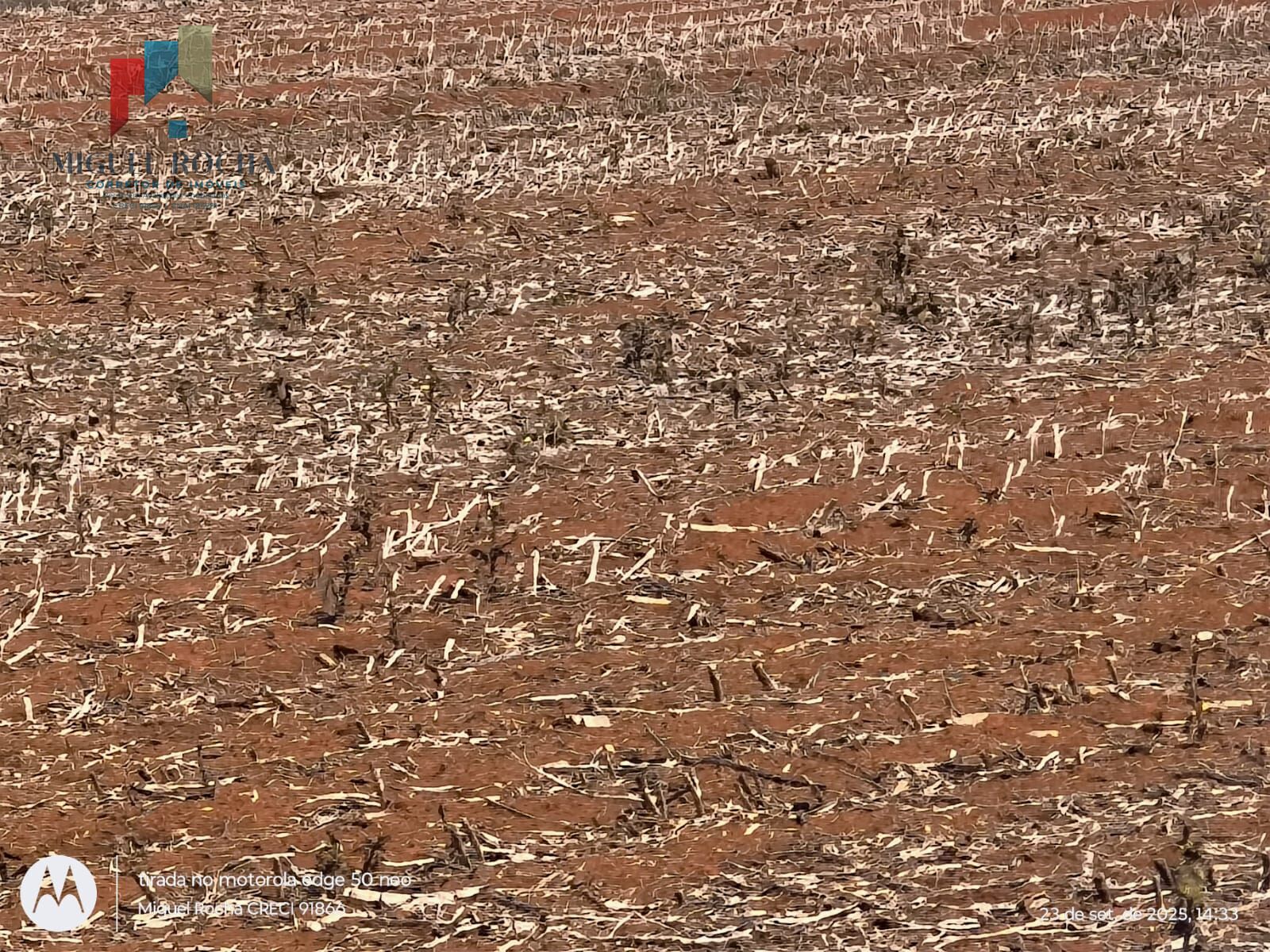 Fazenda em Tatuí SP