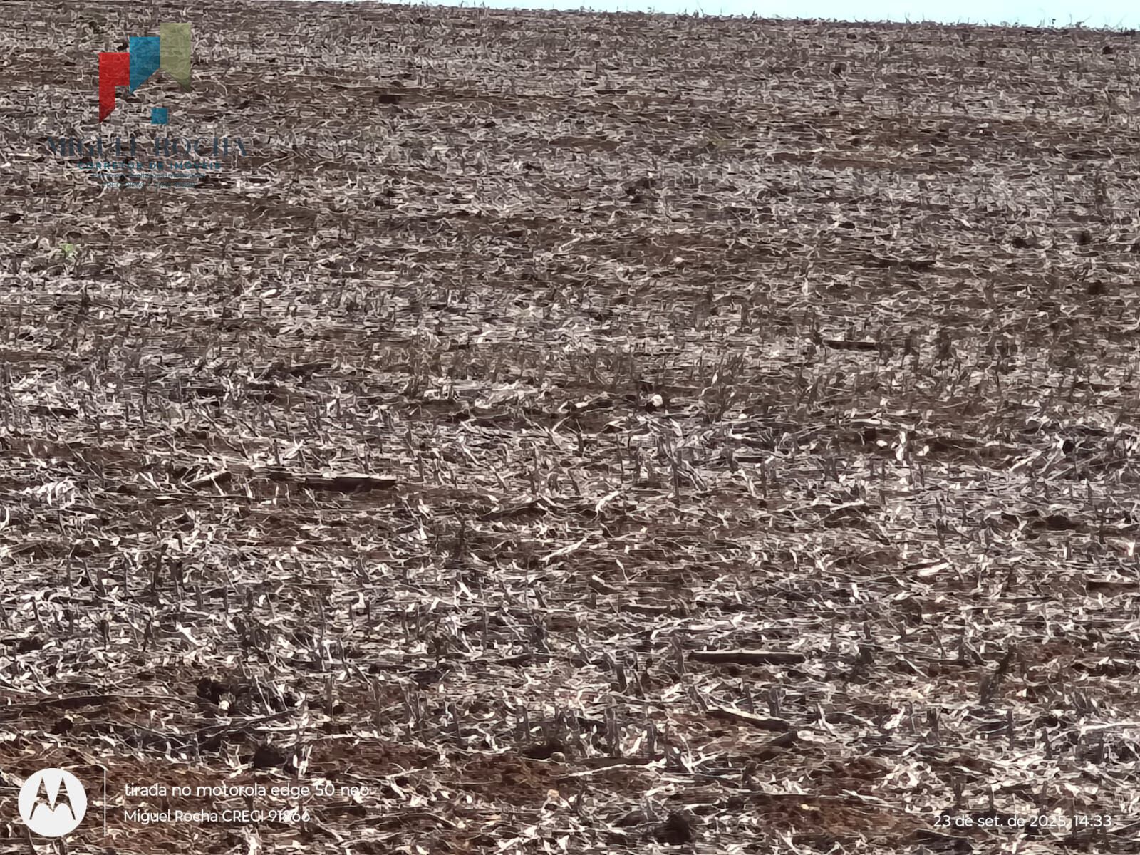 Fazenda em Tatuí SP