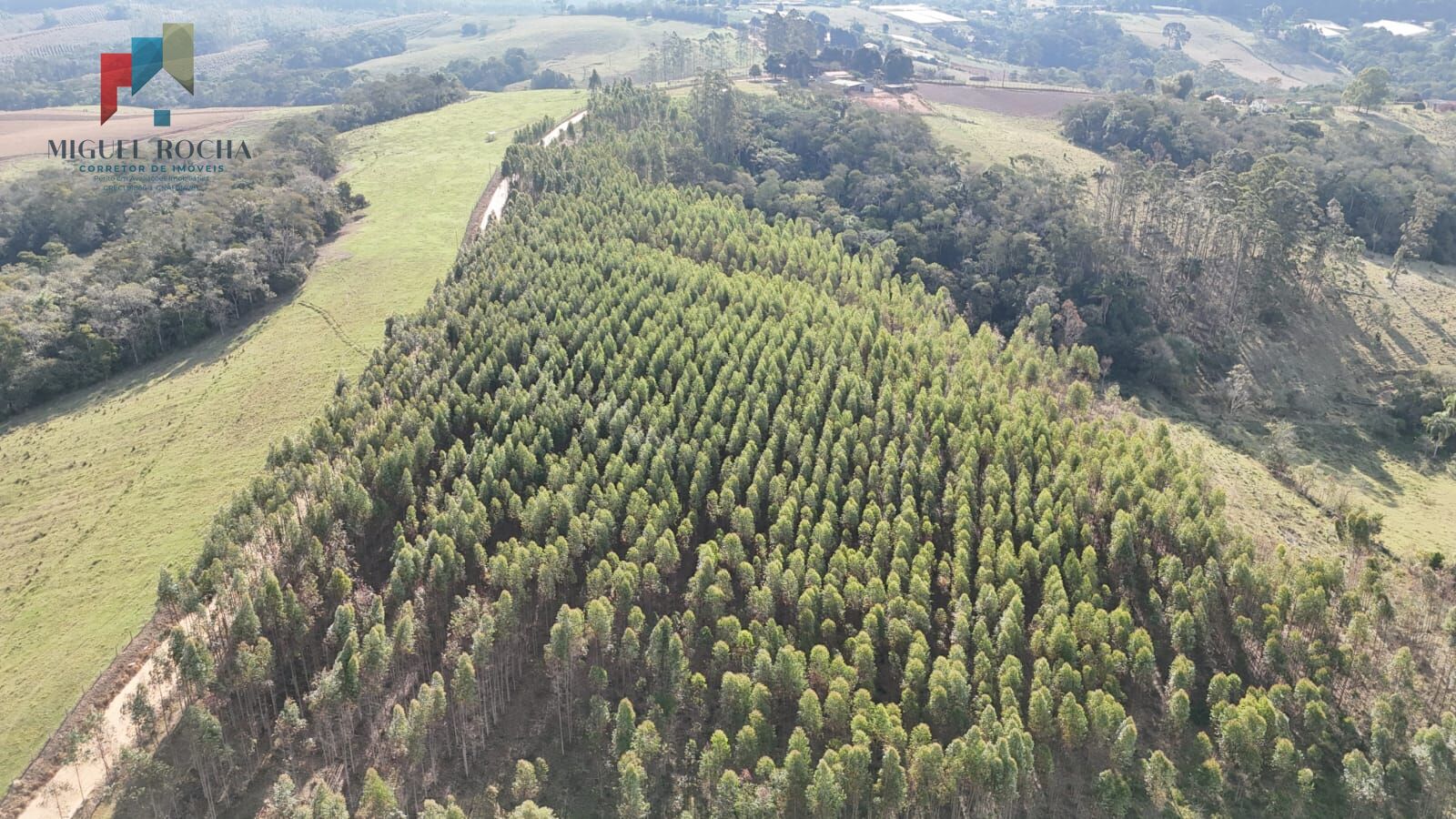 Sítio São Miguel Arcanjo/SP - foto 9