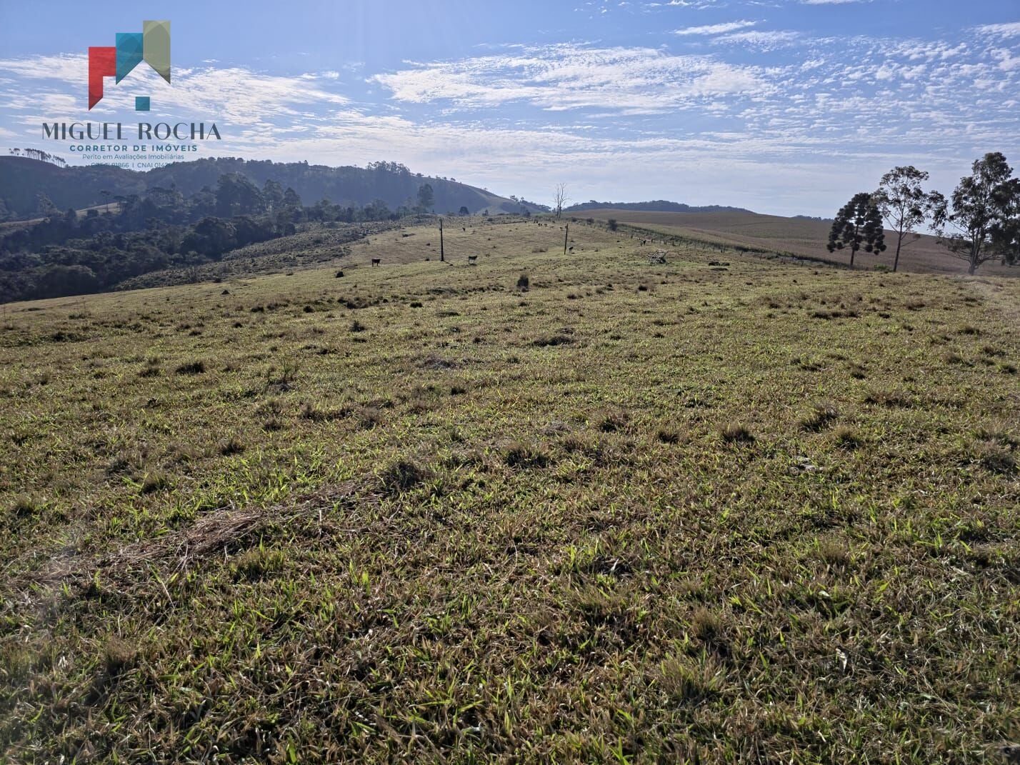 Fazenda a venda Capão Bonito SP
