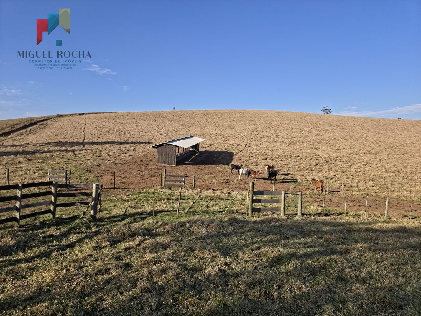 Fazenda a venda Capão Bonito SP