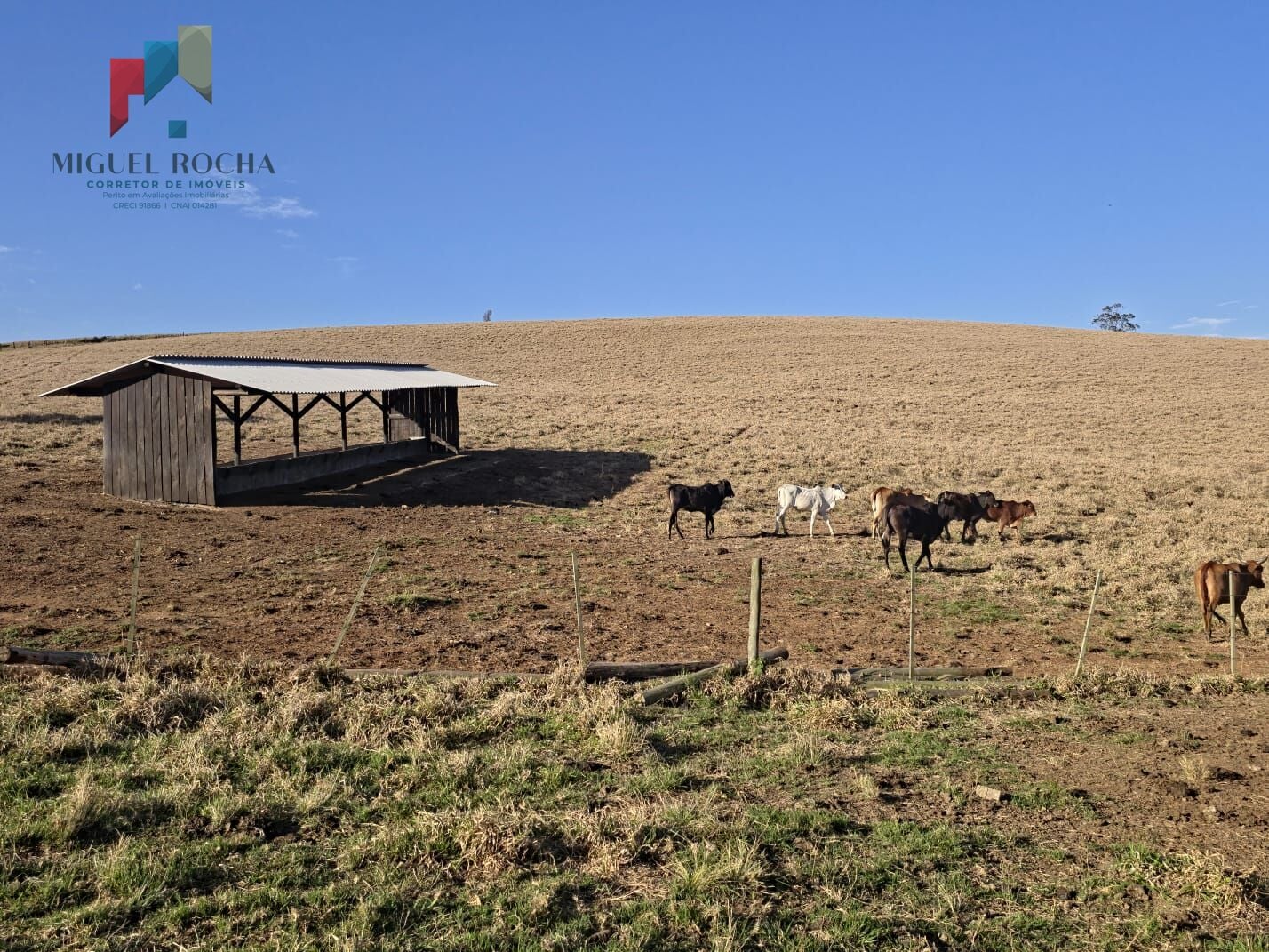 Fazenda a venda Capão Bonito SP