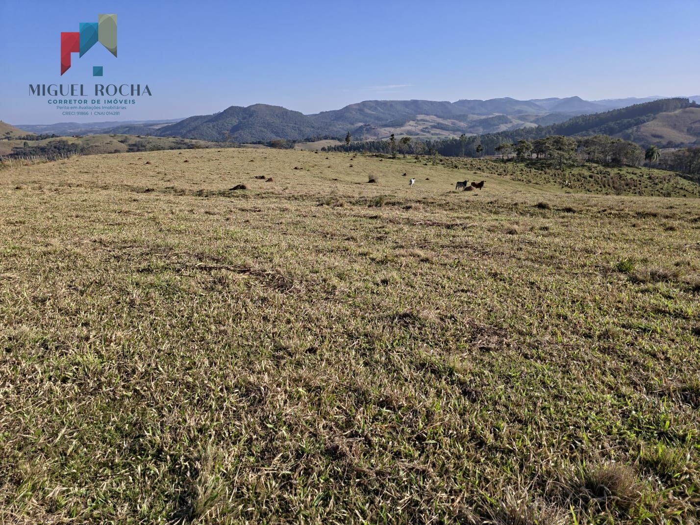 Fazenda a venda Capão Bonito SP