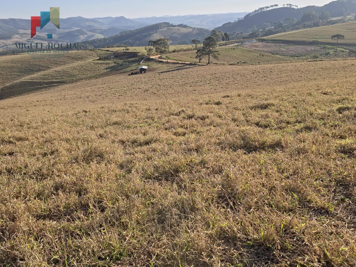 Fazenda a venda Capão Bonito SP