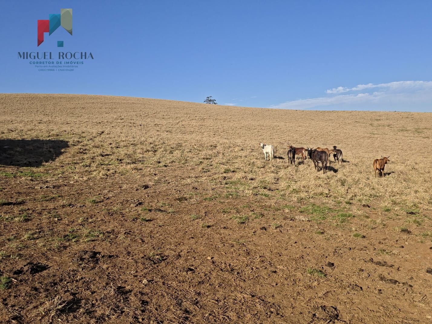 Fazenda a venda Capão Bonito SP
