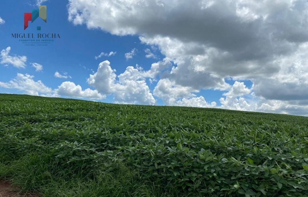 Fazenda região de Avaré SP - foto 2
